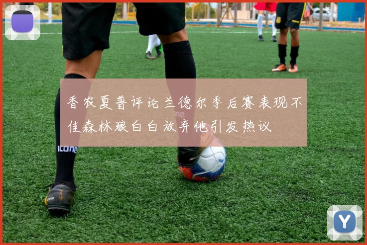 香农夏普评论兰德尔季后赛表现不佳森林狼白白放弃他引发热议
