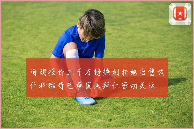 海鸥报价三千万镑热刺拒绝出售武什科维奇巴萨国米拜仁密切关注
